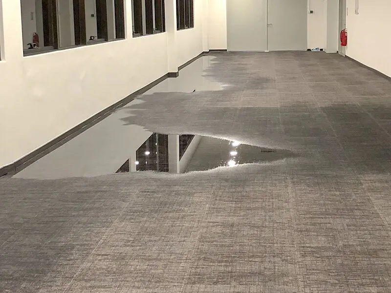 Water damaged carpet